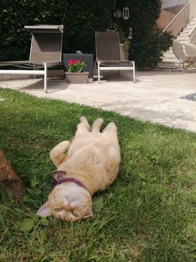 Casa Vacanze Vobarno Exteriér fotografie